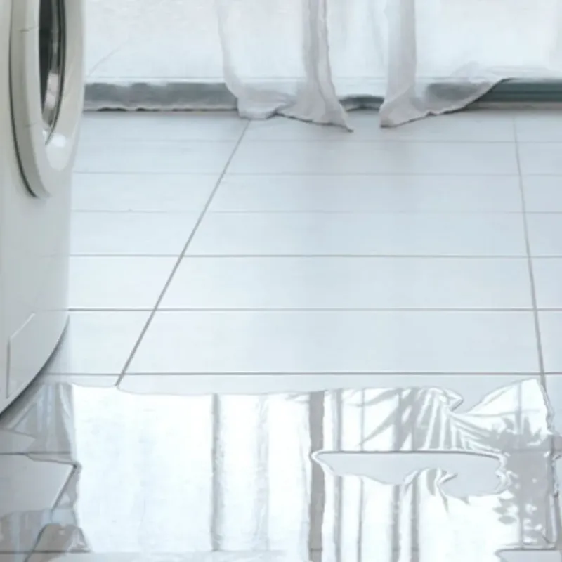 Appliance Leak Cleanup in Celina, TN