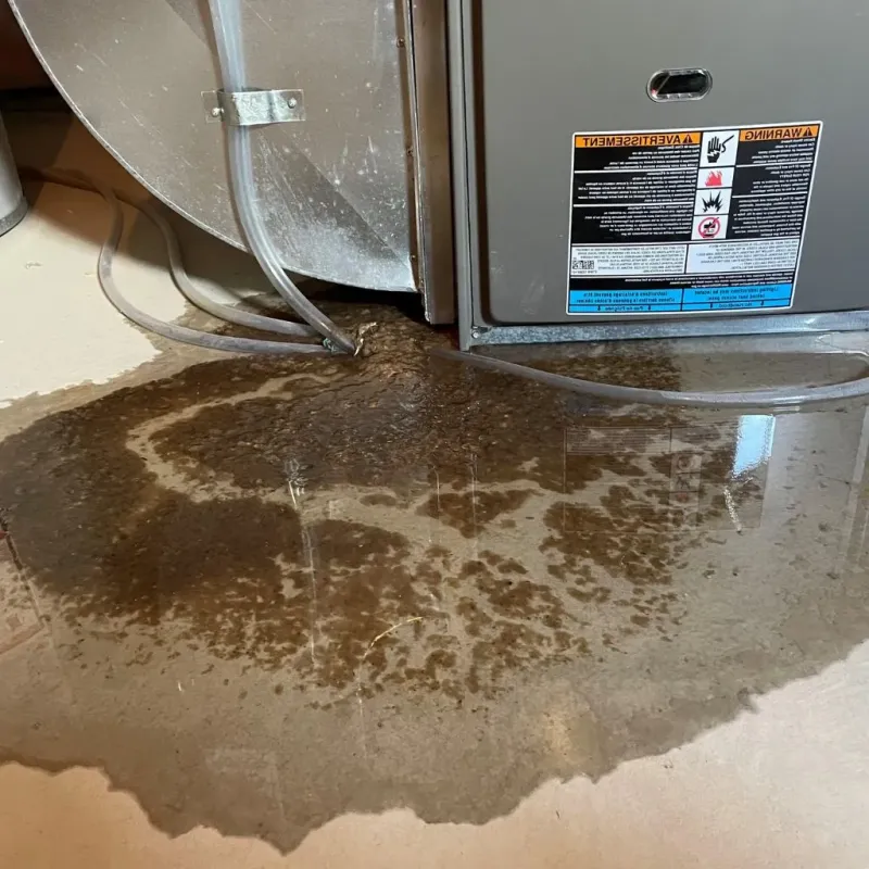 Pipe Burst and Leak Restoration in Celina, TN