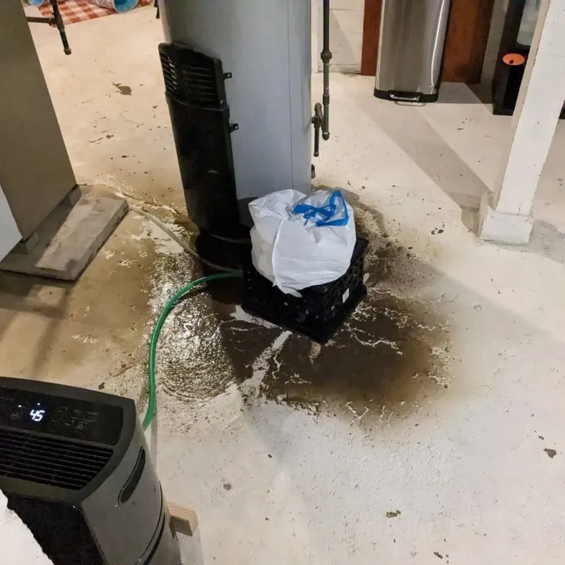 Sewage Backup Cleanup Service in Celina, TN